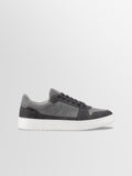 Carrara Suede Sneaker in Ash Gray